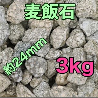 麦飯石 24ミリ 3kg ろ材 めだか 金魚 カメ ミネラルウォーター(アクアリウム)