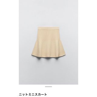 エピヌ(épine)のzara ニットミニスカート ZARA ザラ(ミニスカート)