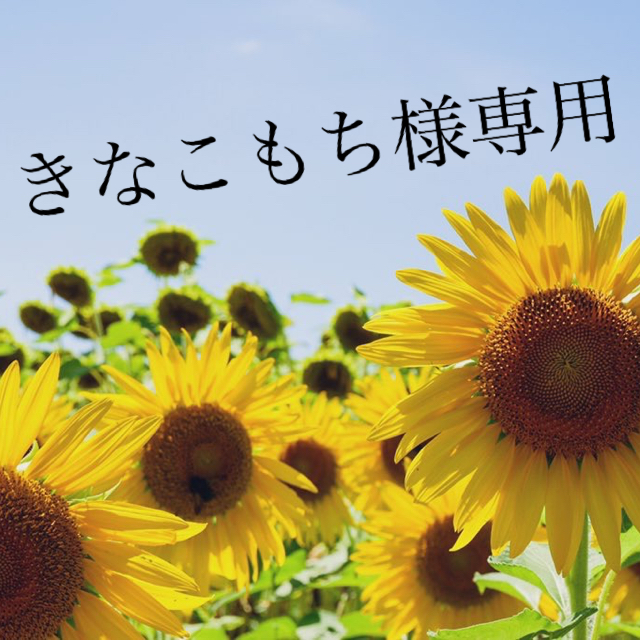 きなこもち様専用の通販 by はち's shop|ラクマ