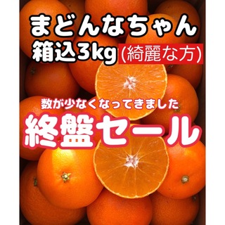 愛媛県産みかん まどんなちゃん 箱込3kg 柑橘 ミカン マドンナ 果物