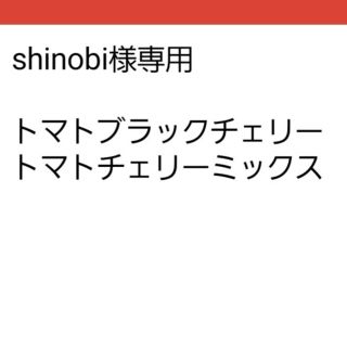 shinobi様専用(その他)