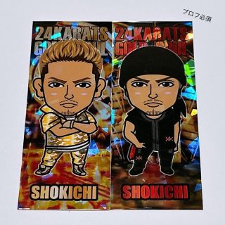 エグザイル(EXILE)のEXILE SHOKICHI 24karats GS ステッカー 2種(その他)