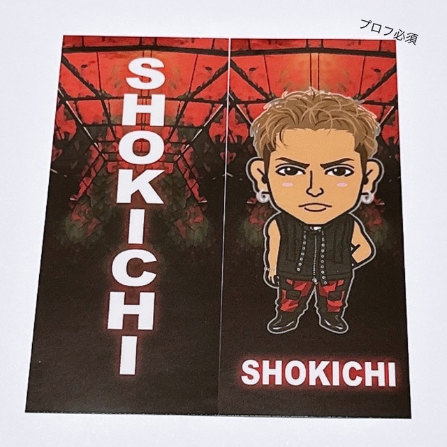 EXILE(エグザイル)のEXILE SHOKICHI RED PHOENIX ステッカー エンタメ/ホビーのタレントグッズ(その他)の商品写真