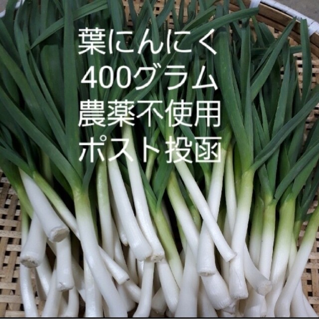 葉にんにく400g 食品/飲料/酒の食品(野菜)の商品写真