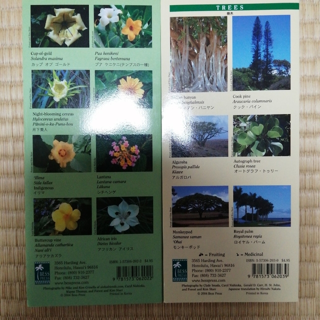 ハワイの植物と花　セット エンタメ/ホビーの本(趣味/スポーツ/実用)の商品写真