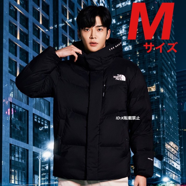 エバニュー 男女兼用 ノースフェイス ダウンジャケット 日本未入荷