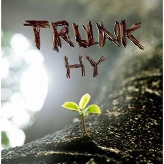 HY / TRUNK(ポップス/ロック(邦楽))