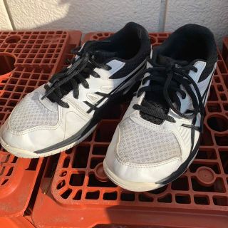 アシックスショウジ(asics)のアシックス　室内シューズ　22cm(バレーボール)