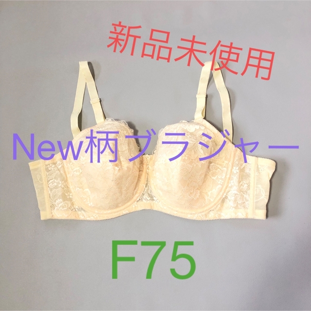 シャンデール New柄パワーネット ブラジャーレディース