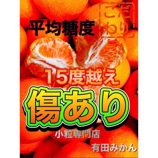 糖度15度越え　プレミアムみかんキング　傷あり旬味有田みかん　宮川早生3Kg(フルーツ)