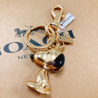コーチ(COACH) スヌーピー チャームの通販 12点 | コーチのレディース コーチ(COACH) スヌーピー チャームの通販 12点 | コーチのレディース