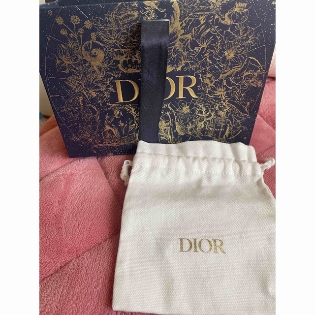 Dior(ディオール)のDIOR ショッパー　ポーチ付き レディースのバッグ(ショップ袋)の商品写真