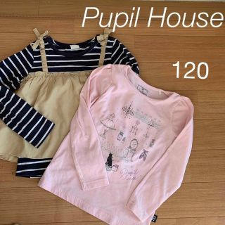 ナルミヤ インターナショナル(NARUMIYA INTERNATIONAL)のPupil House ピューピルハウス★長袖カットソー　２枚セット★120(Tシャツ/カットソー)