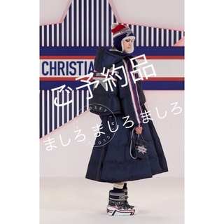 クリスチャンディオール(Christian Dior)の専用です❗️ディオール ロングフレア スカート ダウン 2021〜22AW 34(ロングスカート)