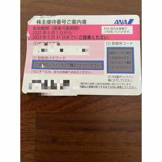 エーエヌエー(ゼンニッポンクウユ)(ANA(全日本空輸))のANA チケット(その他)
