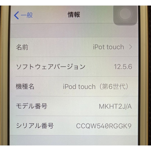 iPod touch(アイポッドタッチ)のiPodtouch第6世代 スマホ/家電/カメラのオーディオ機器(その他)の商品写真