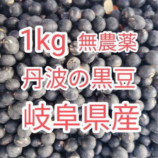 訳あり　無農薬　丹波黒豆　1kg(野菜)