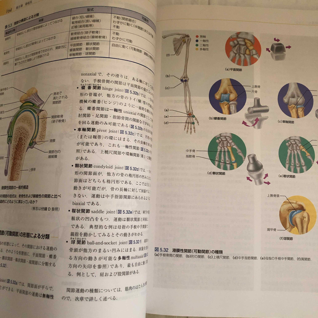 人体の構造と機能 第４版 エンタメ/ホビーの本(健康/医学)の商品写真