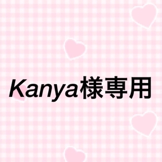 Kanya様専用(その他)