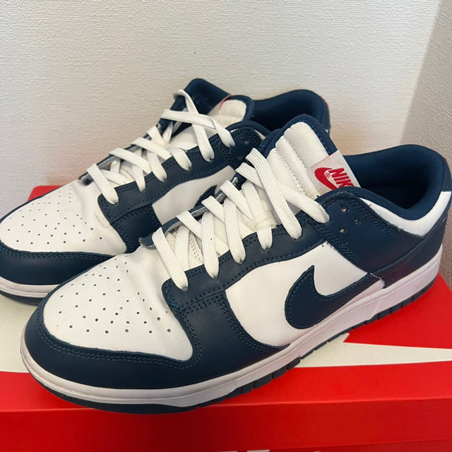 Dunk Low Retro バレリアンブルー