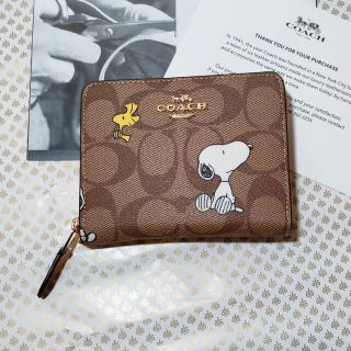 コーチ(COACH)の【数量限定】　コーチ　スヌーピー　ウッドストック　財布(財布)