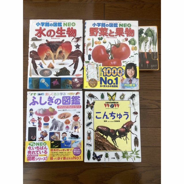 NEO 図鑑　野菜　果物　水の生物　ふしぎの図鑑　昆虫　こんちゅう エンタメ/ホビーの本(語学/参考書)の商品写真