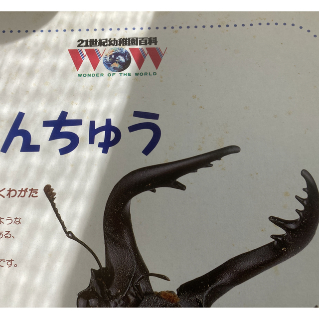 NEO 図鑑　野菜　果物　水の生物　ふしぎの図鑑　昆虫　こんちゅう エンタメ/ホビーの本(語学/参考書)の商品写真