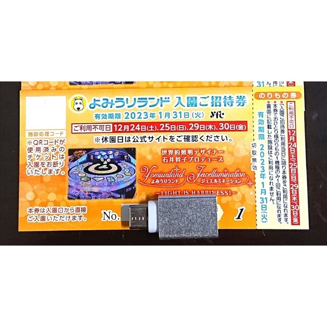 よみうりランド 入園ご招待券1枚 のりもの券1枚付きジュエルミネーション チケットの施設利用券(遊園地/テーマパーク)の商品写真