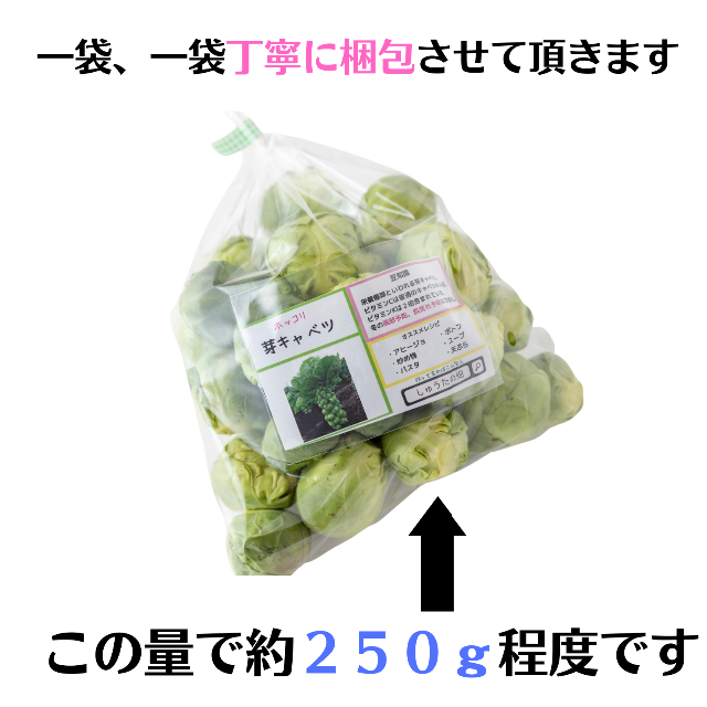 【この時期 限定！】野菜の女王様『芽キャベツ』 1kg 食品/飲料/酒の食品(野菜)の商品写真