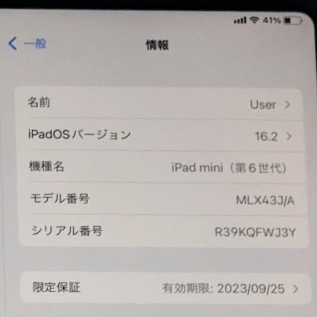 iPad mini 6/Wi‑Fi + Cellularモデル/64GB/ピンク