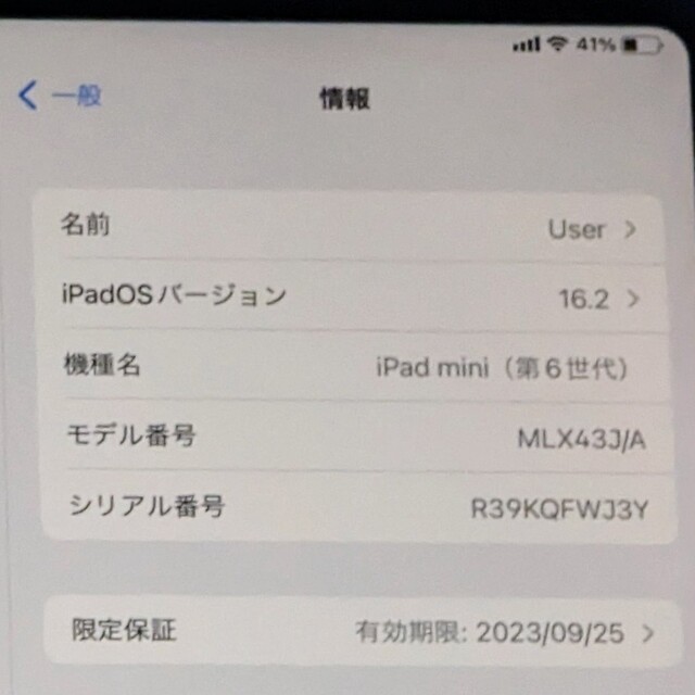 iPad mini 6/Wi‑Fi + Cellularモデル/64GB/ピンク | www.innoveering.net