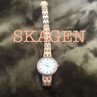 スカーゲン(SKAGEN)のスカーゲン SKAGEN レディース 腕時計(腕時計)