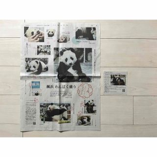 楓浜　1歳誕生日　新聞(印刷物)