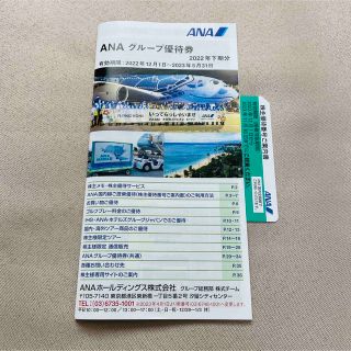 エーエヌエー(ゼンニッポンクウユ)(ANA(全日本空輸))のANA　全日空　株主優待券　搭乗券　グループ優待券　1つずつ(その他)