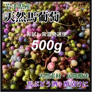 【天然素材・薬膳】馬ぶどう　お試し500g  岩手県産250g×2個　常温便(野菜)