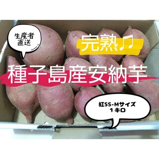 種子島産安納芋紅SS-Mサイズ(野菜)