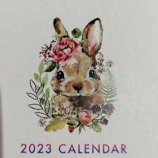 新品　卓上カレンダー　2023　うさぎの挿絵　壮大な風景写真あり(カレンダー/スケジュール)