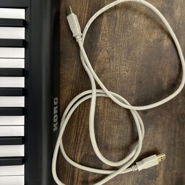 KORG コルグmicroKEY2-25 MIDIキーボード USB 25鍵