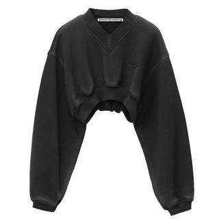 アレキサンダーワン(Alexander Wang)のアレキサンダーワン　クラシックテリー Vネック クロップドプルオーバー  (トレーナー/スウェット)