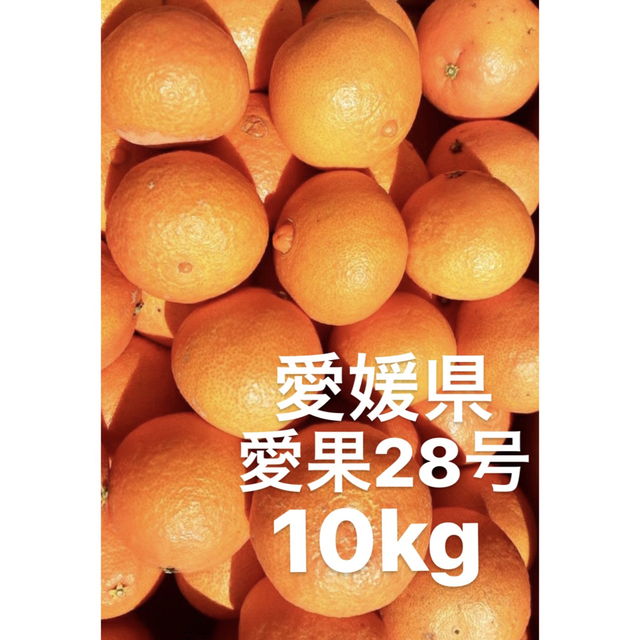 愛媛県産 愛果28号 (紅まどんなと同一品種)10kg - フルーツ