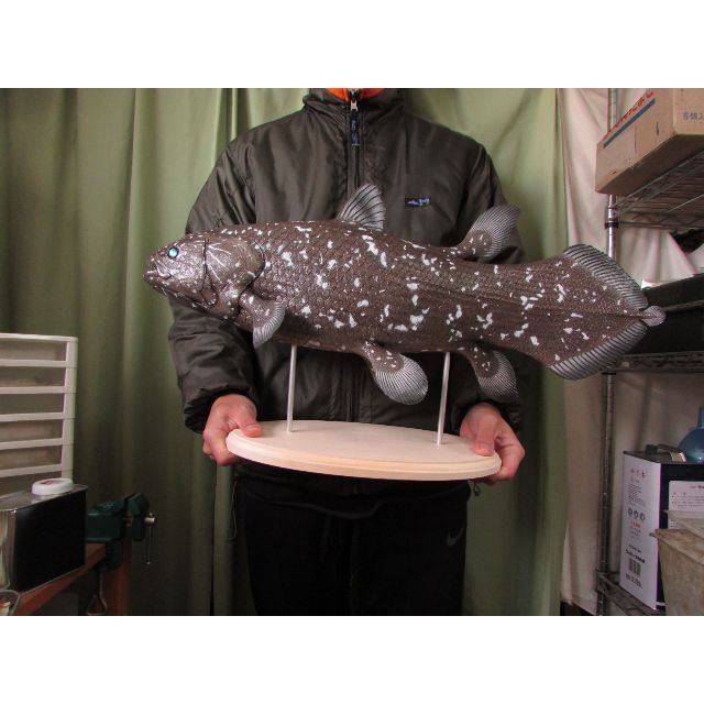 ハンドメイド ６１ｃｍシーラカンス 魚模型 レプリカ置物 古代魚 フィギュア