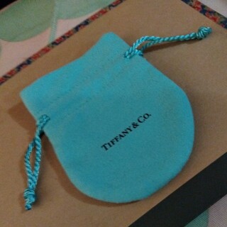 ティファニー(Tiffany & Co.)のTiffany アクセサリー袋 未使用(その他)