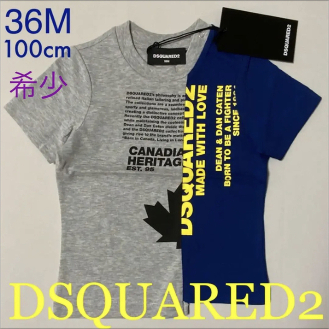 洗練されたデザインDSQUARED2　BABY　Tシャツ　グレー/ネイビー36M