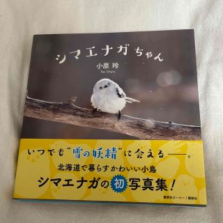 コウダンシャ(講談社)のシマエナガちゃん(住まい/暮らし/子育て)