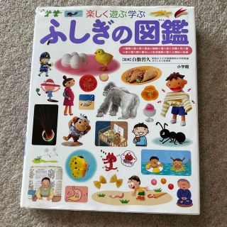 ふしぎの図鑑 楽しく遊ぶ学ぶ(絵本/児童書)