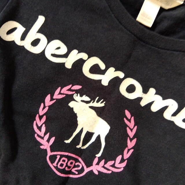 Abercrombie&Fitch(アバクロンビーアンドフィッチ)のロンTシャツ レディースのトップス(Tシャツ(長袖/七分))の商品写真