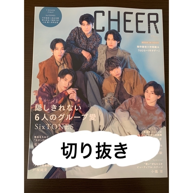CHEER Vol.29 切り抜き エンタメ/ホビーの雑誌(アート/エンタメ/ホビー)の商品写真