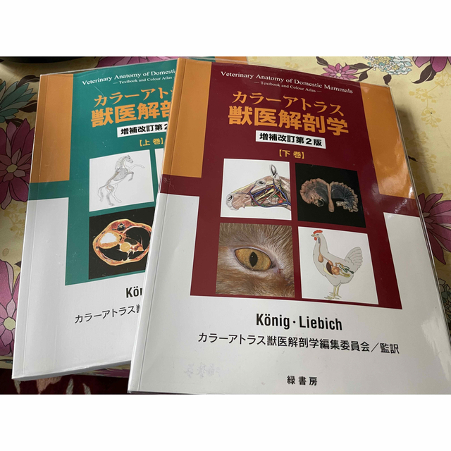 カラ－アトラス獣医解剖学　下巻　上巻　増補改訂第２版　健康/医学