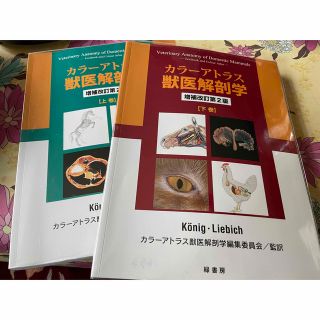 カラ－アトラス獣医解剖学 下巻 上巻 増補改訂第２版(健康/医学)