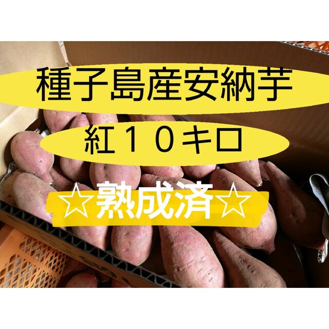 種子島産安納芋紅SS-Mサイズ10キロ 食品/飲料/酒の食品(野菜)の商品写真